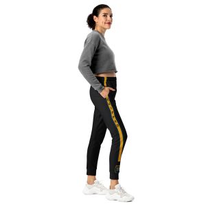 B5 EQUIPPED Side-Stripe Joggers — WOMEN'S